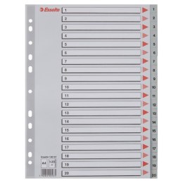Przekładki plastikowe numeryczne A4 1-20 szare ESSELTE 100107 Esselte