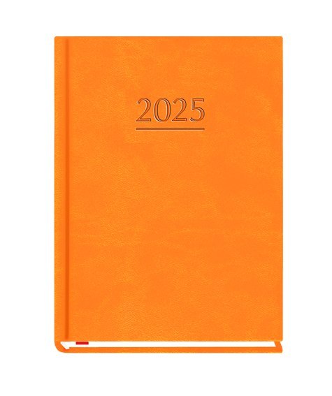 Terminarz OLA A6 2025 - pomarańczowy Michalczyk i Prokop T-212V-P KALENDARZ tydzień na 2 stronach Michalczyk i Prokop